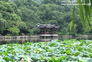 Charlotte- Hangzhou 001